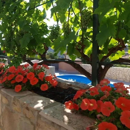 House Neda Holiday home *
